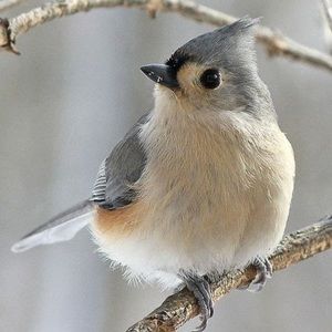 Meet your Posher, Ali